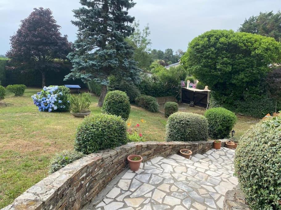 The garden